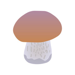 Isolated icon white mushroom boletus with brown cap and gray stalk. Close-up element for design decoration. On a transparent and white background. Summer vector illustration. Image for background