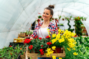 a young flower girl carries a crate full of blooming flowers in pots, greenhouse concept