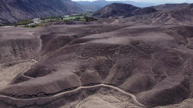 4k video of ancient geoglyph of the Palpa Lines depicting an orca or killer whale on a hillside. Drone flies up and tilts camera slowly down. Located in Palpa, Peru near the more famous Nazca Lines.
