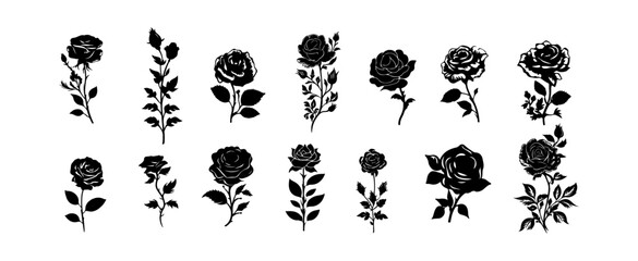 Beautiful rose flowers silhouette set isolated on white background. Natural flowers and leaves graphic vector illustration
