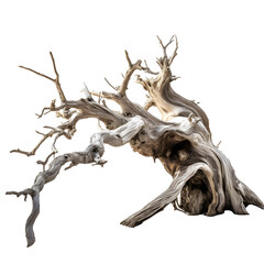 Dead tree trunk isolated on transparent background. Generative AI.