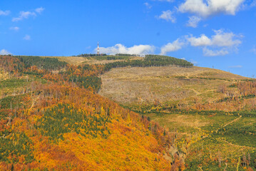 Mount Skrzyczne (1257 m with TV tower) in autumn scenery seen from the forest road to Kościelec (1022 m) in Silesian Beskid (Poland).