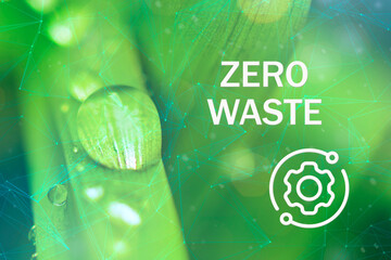 Zero waste leaves on green background concept