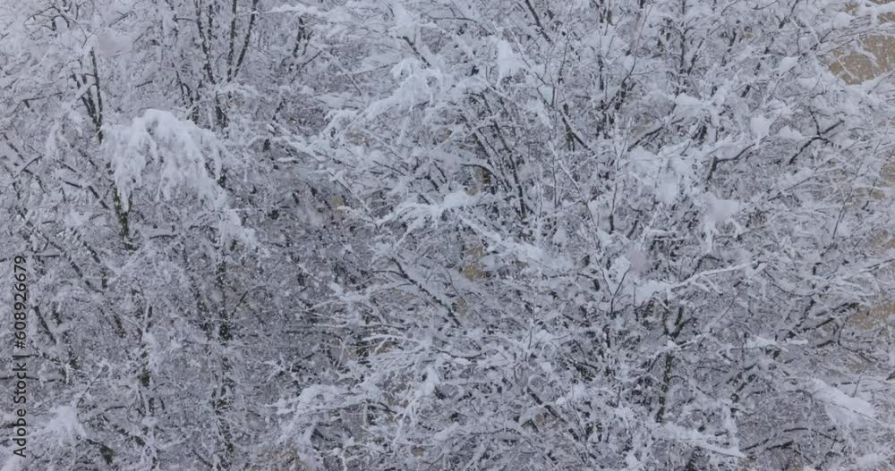 Poster falling snow over snowy snowcapped trees. static shot
