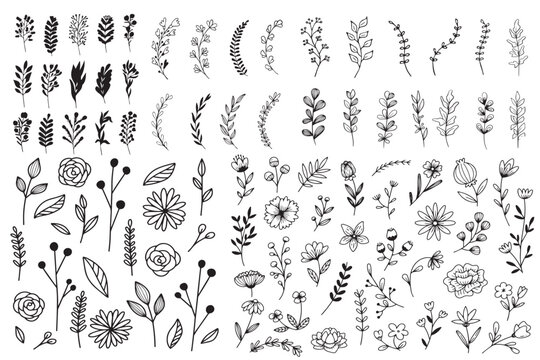set of floral elements