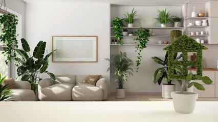 White table top or shelf with green plant in pot shaped like house, kitchen, living room and houseplants background, interior design, urban jungle, eco architecture concept idea