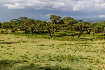 Landscape of Crescent Island Game Sanctuary on Naivasha lake, Kenya