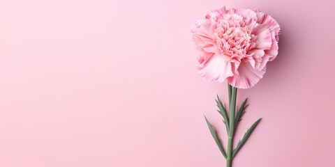 Fototapeta na wymiar Flowers, Generative AI