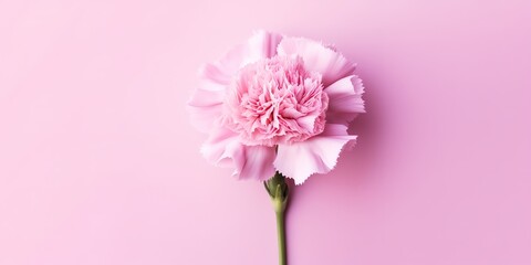 Obraz na płótnie Canvas Flowers, Generative AI