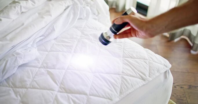 Bed Bug Infestation And Treatment Service