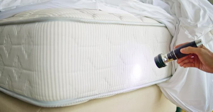 Bed Bug Infestation And Treatment Service