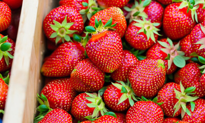 Frische reife Erdbeeren in kleinen Holzschachteln, die auf einem lokalen Markt verkauft werden.