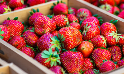 Frische reife Erdbeeren in kleinen Holzschachteln, die auf einem lokalen Markt verkauft werden.