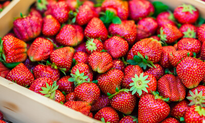 Frische reife Erdbeeren in kleinen Holzschachteln, die auf einem lokalen Markt verkauft werden.