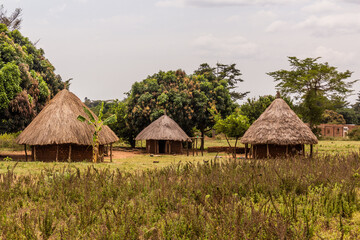 Fototapeta na wymiar Village huts in Nyero, Uganda