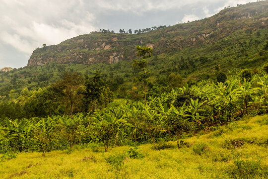 Rural landscape near Mount Elgon, Uganda