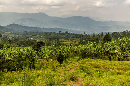 Rural landscape near Mount Elgon, Uganda