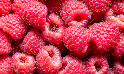 Reife frische Himbeeren in Nahaufnahme, die auf einem lokalen Markt angeboten werden.