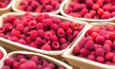 Reife frische Himbeeren in Nahaufnahme, die auf einem lokalen Markt angeboten werden.