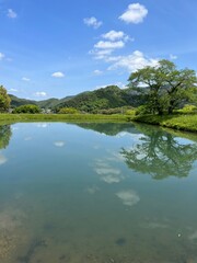 lake and forest