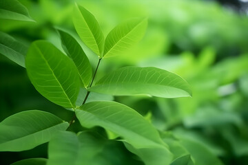 Wallpaper of natural green leaves plants spring background environment, Generative AI