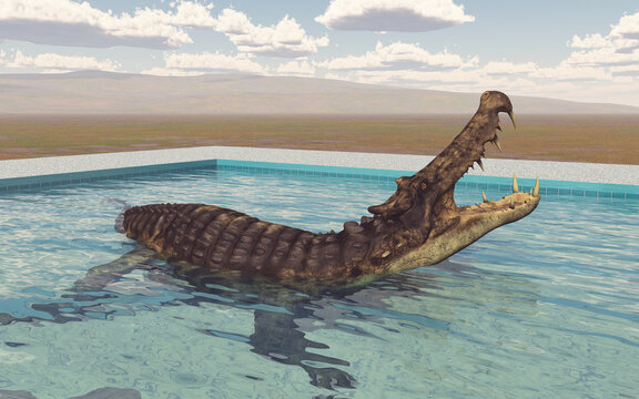 Prähistorisches Krokodil Kaprosuchus im Swimming Pool