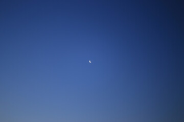 Moon in the sky