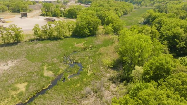 A marshy land area in late Spring, alive with greenery.