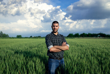 Young farmer standing in a green wheat field examining crop.