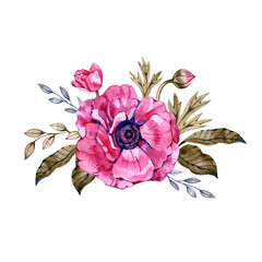 Anemone. Hand painted floral elements composition. Watercolor botanical illustration of eucalyptus, tulip, peony, rose,anemone flowers and leaves. Natural objects isolated on white background