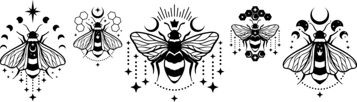 Magic queen bee logo design with moon. Collection of magic bumblebee with stars. Bee kind. Logo Design with bee. Vector illustration of bee and moon phases