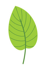 Obraz premium Spring Element Illustration Isolated On White Background. Gardening and Spring hand drawn elements. Floral and Animal Spring doodle set. Cute set of spring cliparts, easter elements.