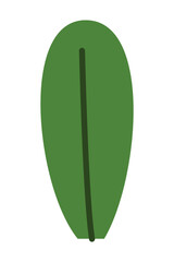 Spring Element Illustration Isolated On White Background. Gardening and Spring hand drawn elements. Floral and Animal Spring doodle set. Cute set of spring cliparts, easter elements.