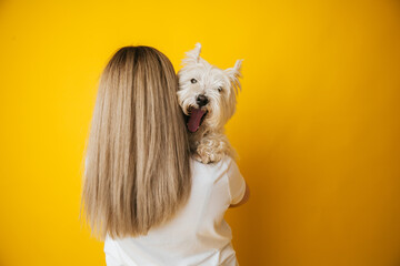portrait of a beautiful young girl with a dog in her arms on a yellow background, the girl hugs her...