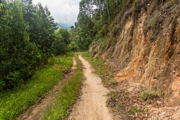 Rural road near Kilembe village, Uganda