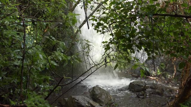Crashing waterfall creates breeze in bushes - Newton's Waterfall, Akaroa (New Zealand)
