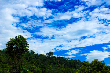 Tranquil nature scene with blue sky, clouds, and trees