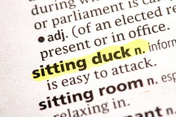 close up photo of the words sitting duck