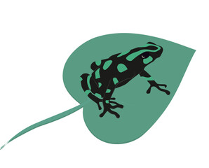The green-and-black poison dart frog (Dendrobates auratus) sitting on a leaf vector illustration. Isolated on white.