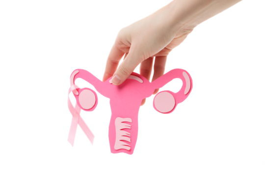 PNG, World Cancer day, concept of female cancer, isolated on white background