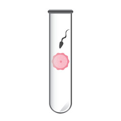 Fertilization, spermatozoon and egg cell icon vector illustration symbol