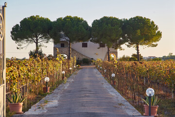 Villa entrance gate and estate Puglia