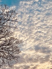 An Evening Sky from the terrace of our Village