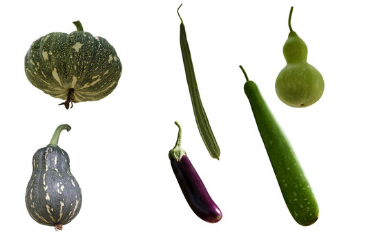 Isolated image of various types of garden vegetables on png file at transparent background.
