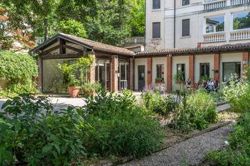 Plants and trees in the Botanical garden of Brera (in Italian "Orto Botanico di Brera"), part of the Brera Academy complex, Milan city center, Italy