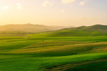 beautiful green valley with green fields with green spring grass with nive hills and mountains and scrnic colorful cloudy sunset on background of landscape