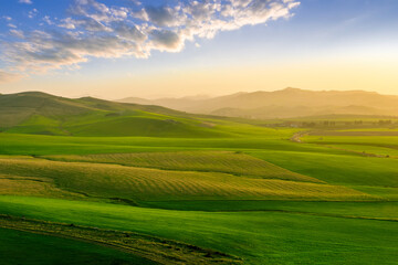 green spring hills with young grass and amazing growing fields and hills with beautiful bright cloudy sunset on background of rural landscape