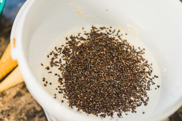 Chef adds chocolate to the ice cream while mixing it with a blender in a bucket. High quality photo