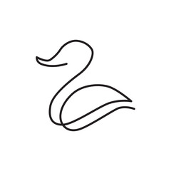 black and white swan