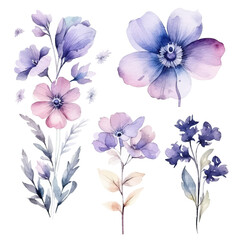 Fototapeta na wymiar Set of floral watecolor purple blue. flowers and leaves. Floral poster, invitation floral. Vector arrangements for greeting card or invitation design
